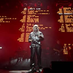 Massive Attack en andere artiesten verenigen zich in kritiek op leger Israël