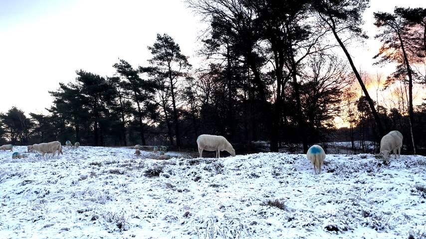 Arnhem ontwaakt onder witte laag sneeuw