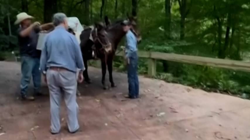 Amerikaan krijgt hulpgoederen bezorgd met muildieren na orkaan Helene