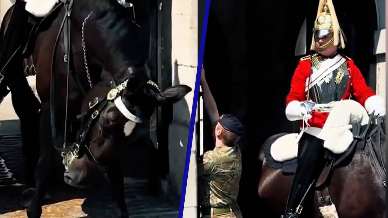 Video | Paard van Britse gardist zakt bijna door zijn hoeven door hitte