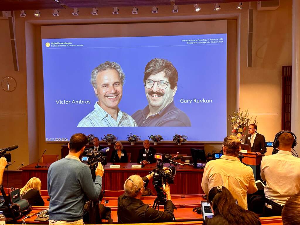 Nobelprijs voor Geneeskunde gaat naar Amerikaanse ontdekkers van microRNA