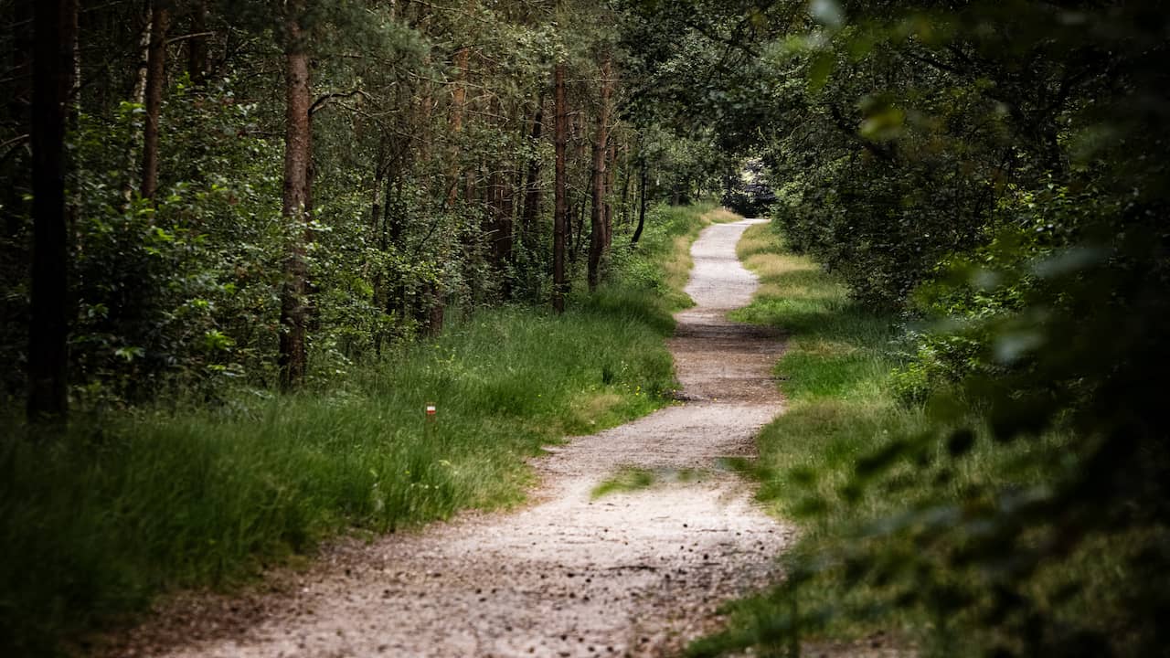 Nationaal Park Utrechtse Heuvelrug wordt bijna twee keer zo groot