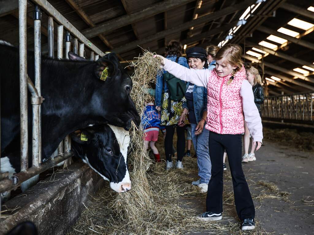 Uitkoopregeling voor piekbelasters gaat uiterlijk half juni van start
