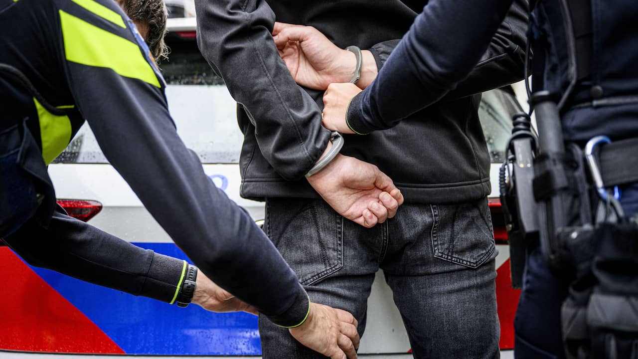 Politie houdt na klopjacht met helikopter 34-jarige man aan voor mishandeling