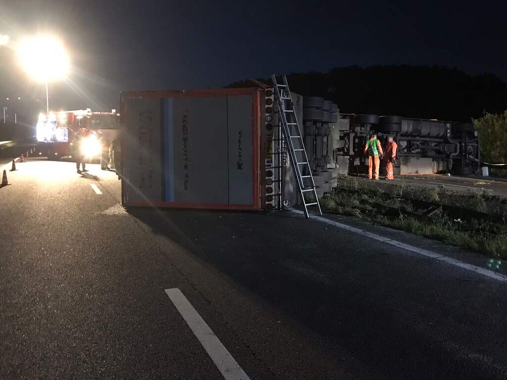Alle rijstroken A2 rond Grathem weer open na kantelen veewagen met koeien