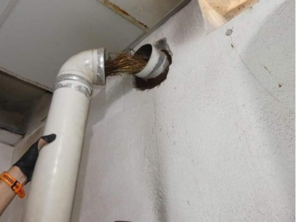 CO-vergiftiging van Nederlander op Mallorca kwam door vogelnest in leiding