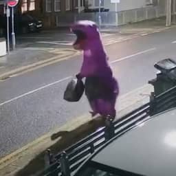 Video | Brit ontloopt boete door in een dinopak afval te dumpen