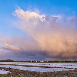 Tropische hitteén hevig onweer: 'Gaat morgen helemaal los in het oosten'