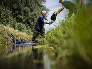 Ondanks regen blijft grondwater dalen: zeer natte winter nodig voor herstel