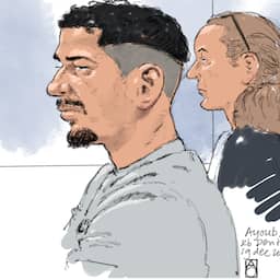 Instanties misten signalen van zorgelijk gedrag van verdachte fatale steekpartij Erasmusbrug