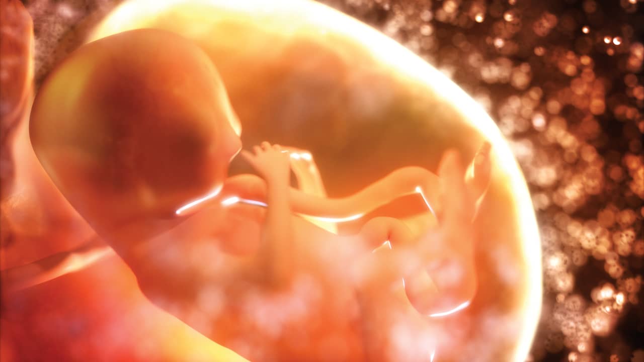 Pakistaanse inlichtingendienst onderzoekt illegale handel in placenta's