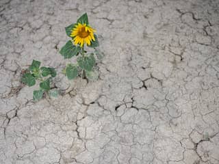 Uitzonderlijke hitte in Europa wakkert droogte verder aan