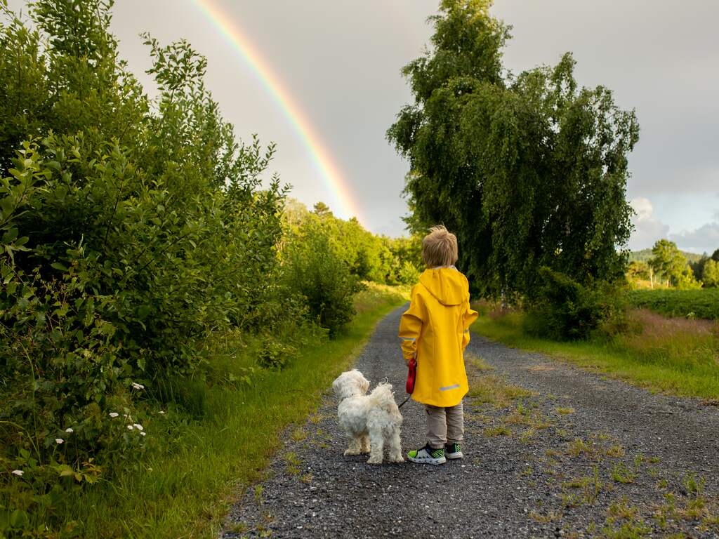 Weekweerbericht | Na regen komt zonneschijn (en mogelijk weer regen)
