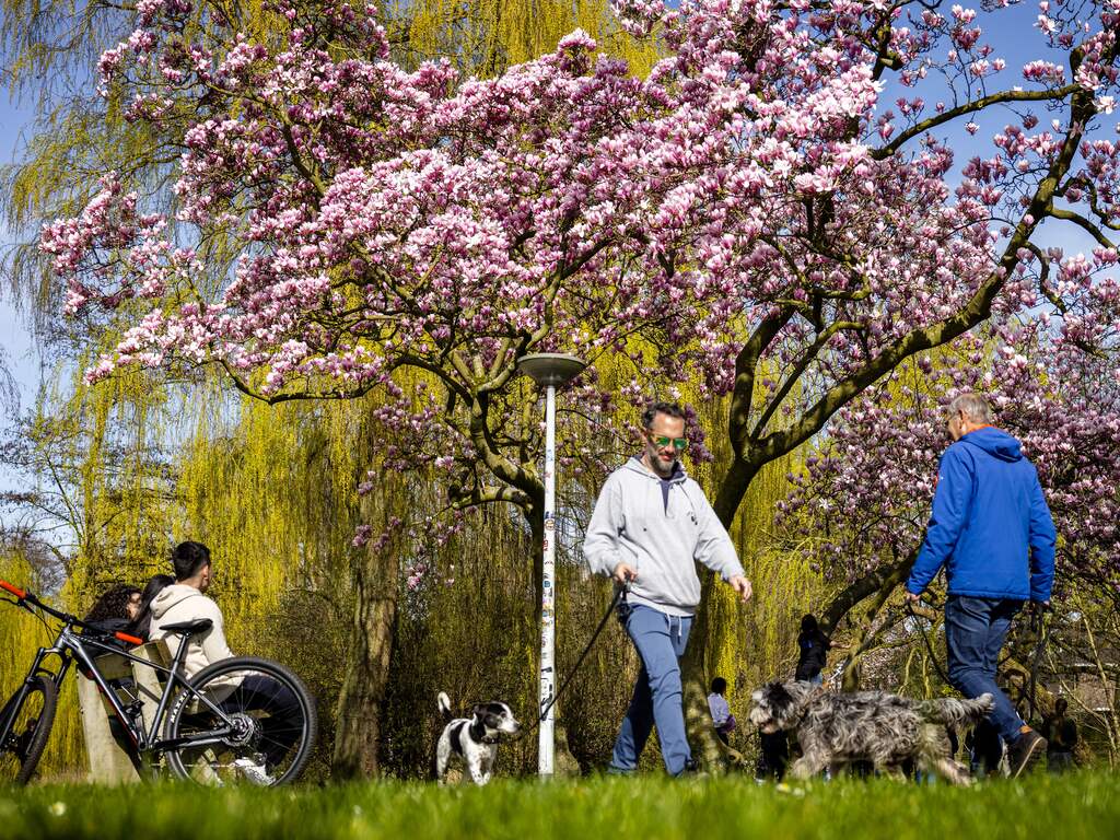 Weerbericht | Zon, regen, onweer en hoge temperaturen op Stille Zaterdag