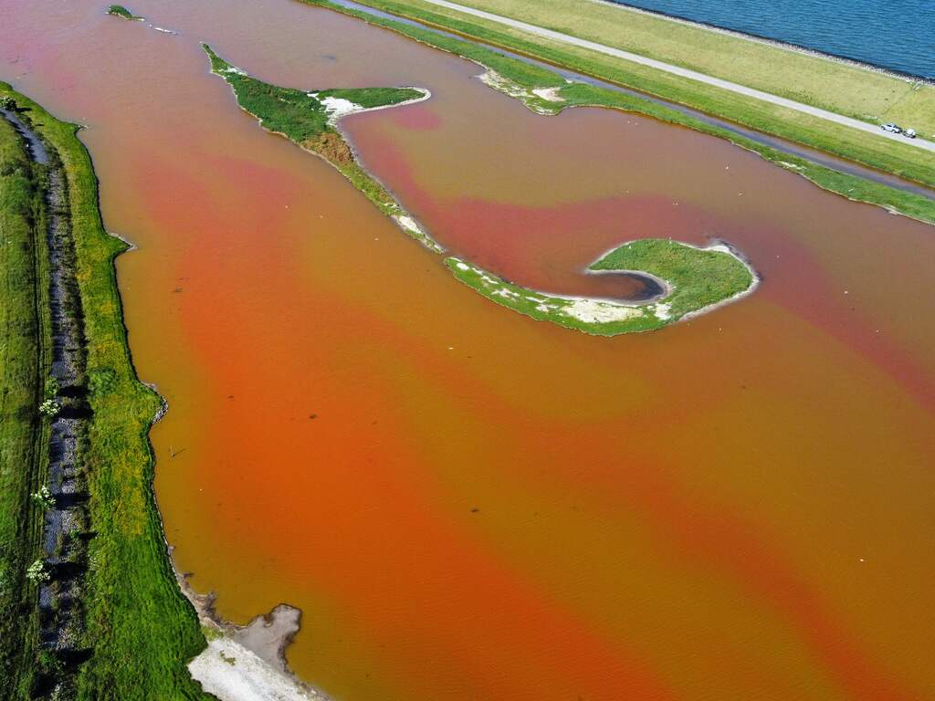 Waterplas op Texel kleurt weer roze