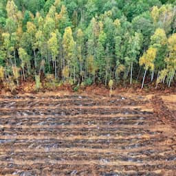 Europese natuur verder onder druk: 'Meer inspanning nodig'