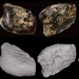 Archeologen vinden schedels van menselijke voorouder op zeebodem Indonesië