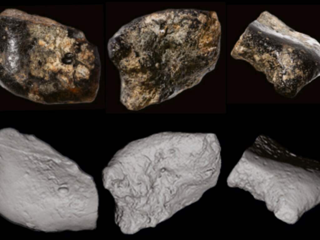 Archeologen vinden schedels van menselijke voorouder op zeebodem Indonesië