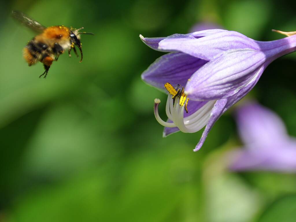 heerlijk zomerweer op zaterdag