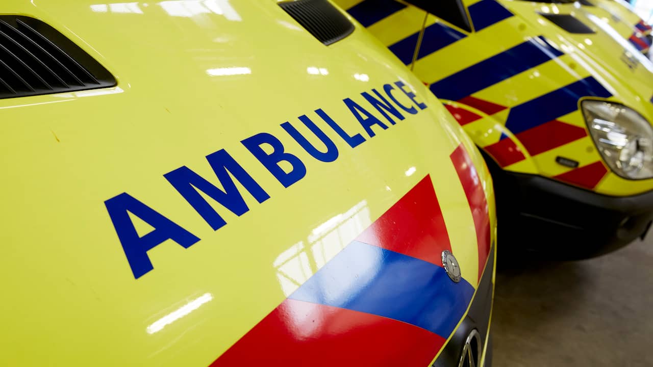 Peuter gewond na aanval door vier rottweilers in Drentse Nieuw-Buinen