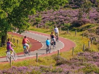 Vies water en drukte: stikstof niet de enige oorzaak van slechte natuur