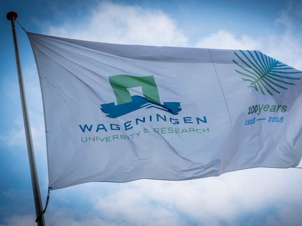 Vier beste Nederlandse universiteiten stijgen verder op wereldranglijst