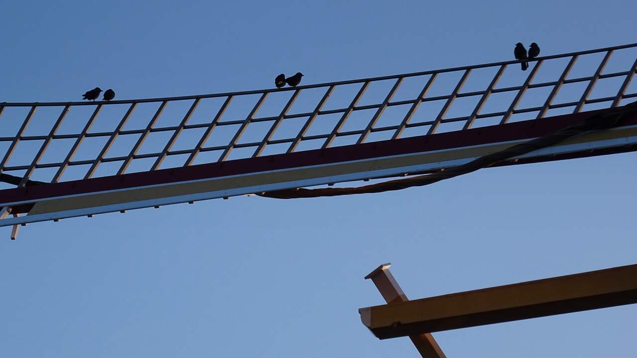 Kinderen noemen molen Meliskerke Korenhoop