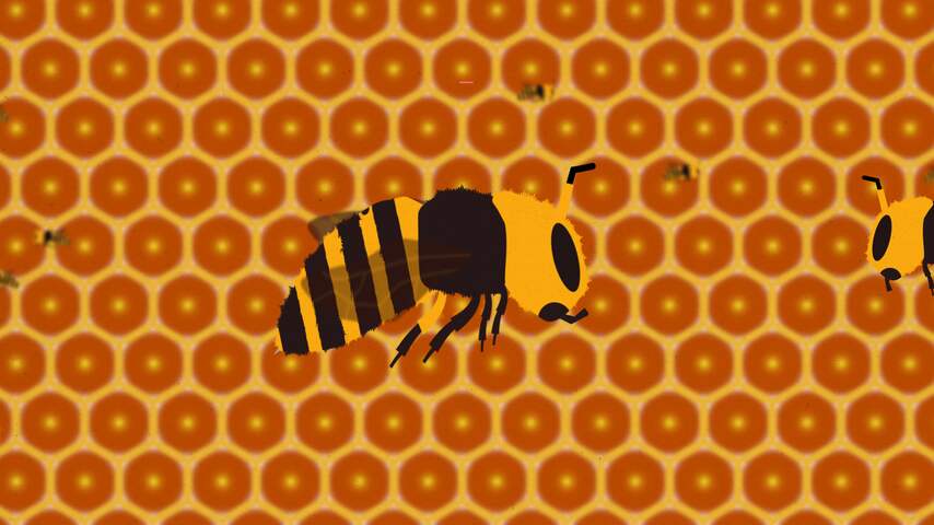 Zo verandert een virus bijen in dodelijke indringers