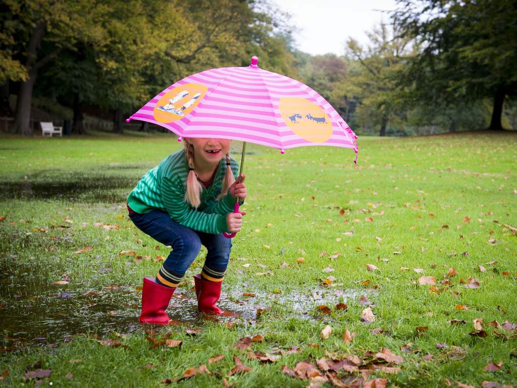 Weerbericht | Code geel vanwege dichte mist, later kans op regen en onweer