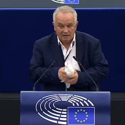 Video | Slowaakse politicus laat witte duif los in Europees Parlement