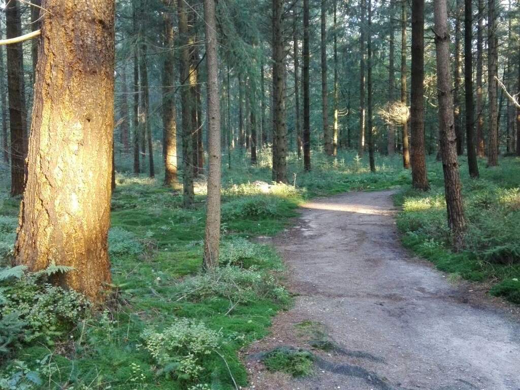 Dinsdag 13 december: Een middag in het park van Paleis het Loo