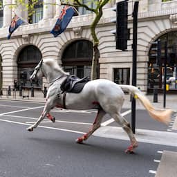 Meerdere gewonden door losgeslagen paarden in centrum van Londen