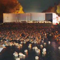 A28 bij Drents Ubbena dicht na kantelen vrachtwagen met suikerbieten