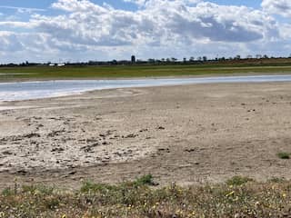 Grote zorgen over natuur door droogte: 'Kan funest zijn voor planten en dieren'