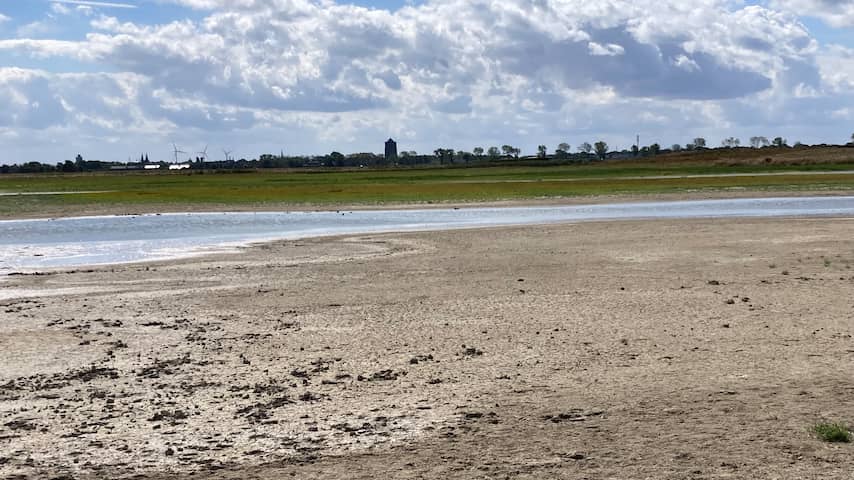 Grote zorgen over natuur door droogte: 'Kan funest zijn voor planten en dieren'