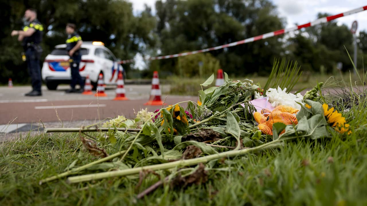 Ouders omgebrachte Lisa (17) dankbaar voor steun: 'Onze harten zijn gebroken'