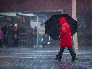 Maandag code geel om onweersbuien en harde wind in hele land