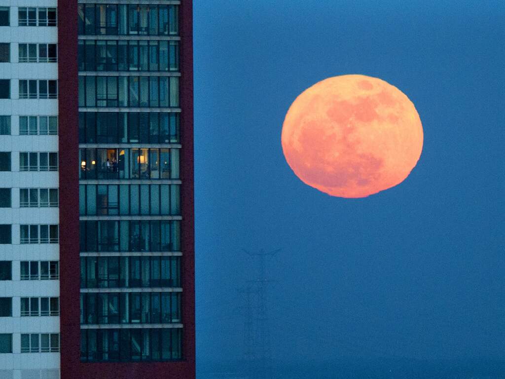 Zet je wekker dinsdag extra vroeg om foto's te maken van de supermaan