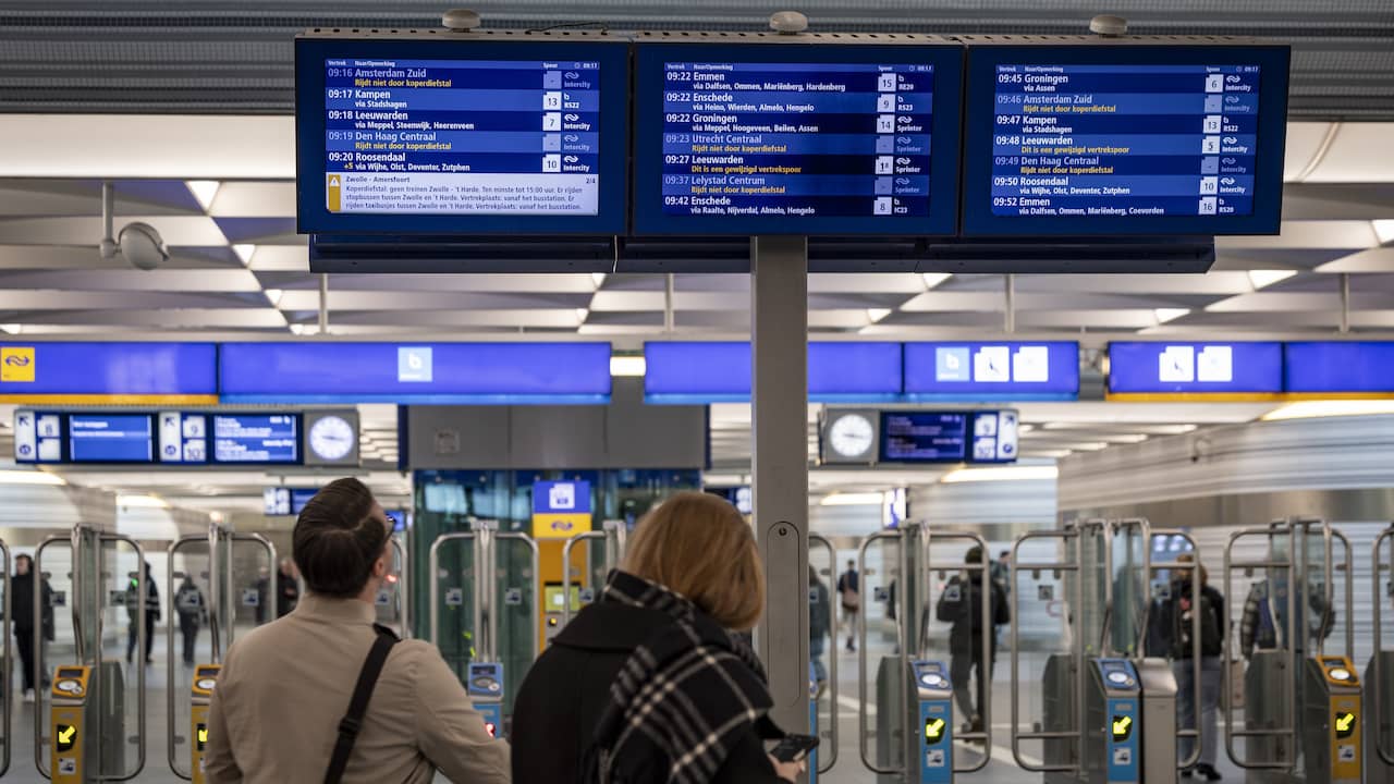 Verdachte van koperdiefstal knipte zeven kabels door langs spoor bij Zwolle