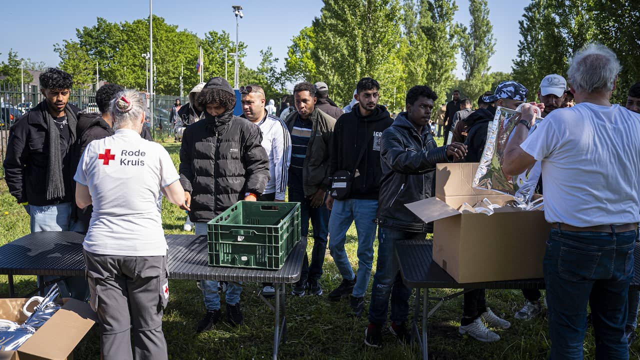 Rode Kruis zet vijf tenten tegen zon neer voor azc Ter Apel: 'Hopen op oplossing'