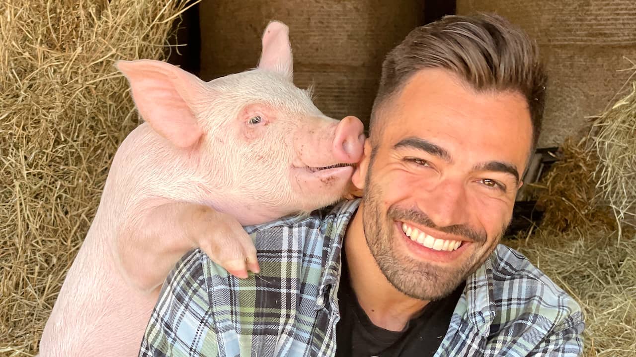 Veganist worden: je wil het wel, maar je doet het niet | Slimmer leven