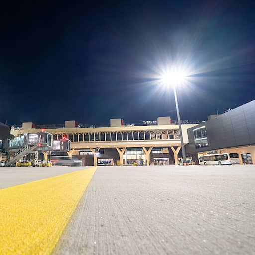 Medewerkers luchthaven Frankfurt overleden aan malaria door meereizende mug