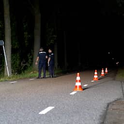 Vrouw die werd doodgereden in Schijndel liet hond uit, gevonden door haar man