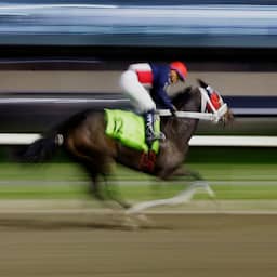 Racepaard met naam die naar Hitler verwijst krijgt andere naam