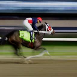 Racepaard met naam die naar Hitler verwijst krijgt andere naam