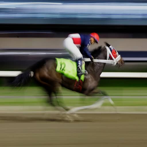 Illustratie bij: Racepaard met naam die naar Hitler verwijst krijgt andere naam