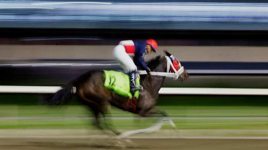 Foto bij Racepaard met naam die naar Hitler verwijst krijgt andere naam