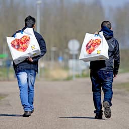 Nederland past landenbeleid voor Syriërs aan: asielaanvragen sneller afgewezen