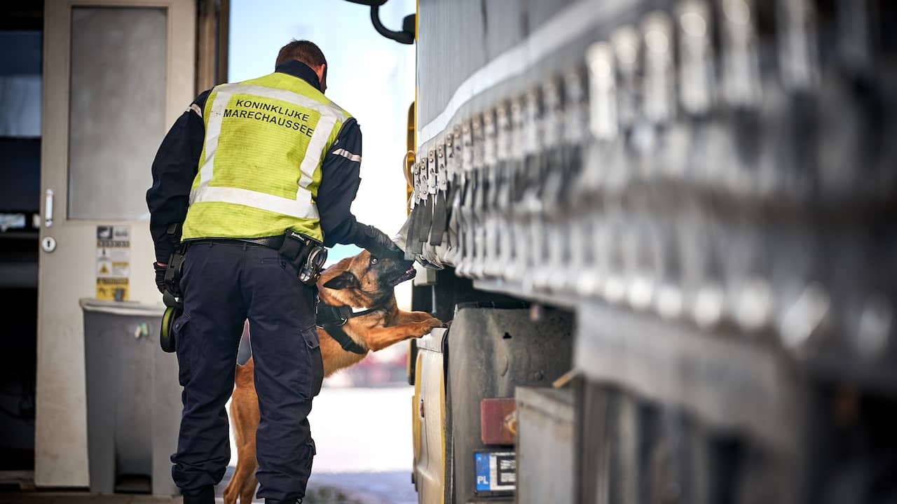 Peuters onder aangetroffen vreemdelingen in koeltrailer bij Hoek van Holland