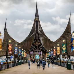 Efteling introduces new attraction where visitors can fly themselves